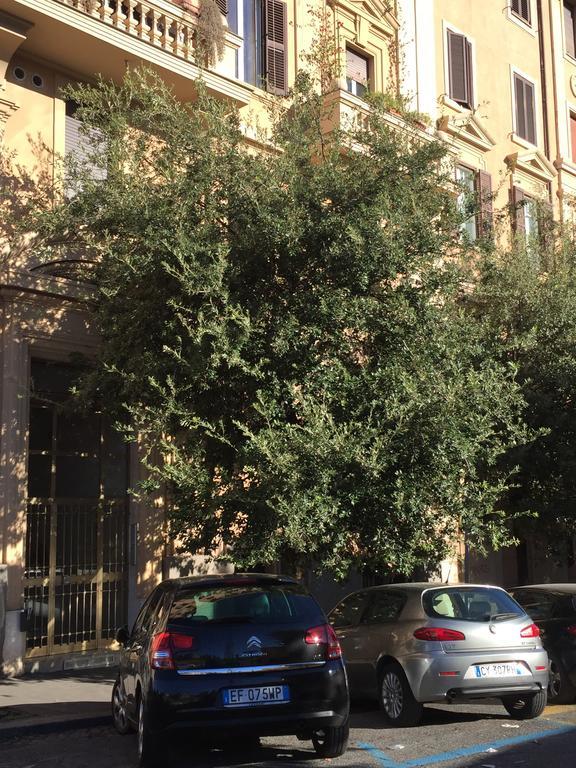 Vatican Accommodations Rom Eksteriør billede